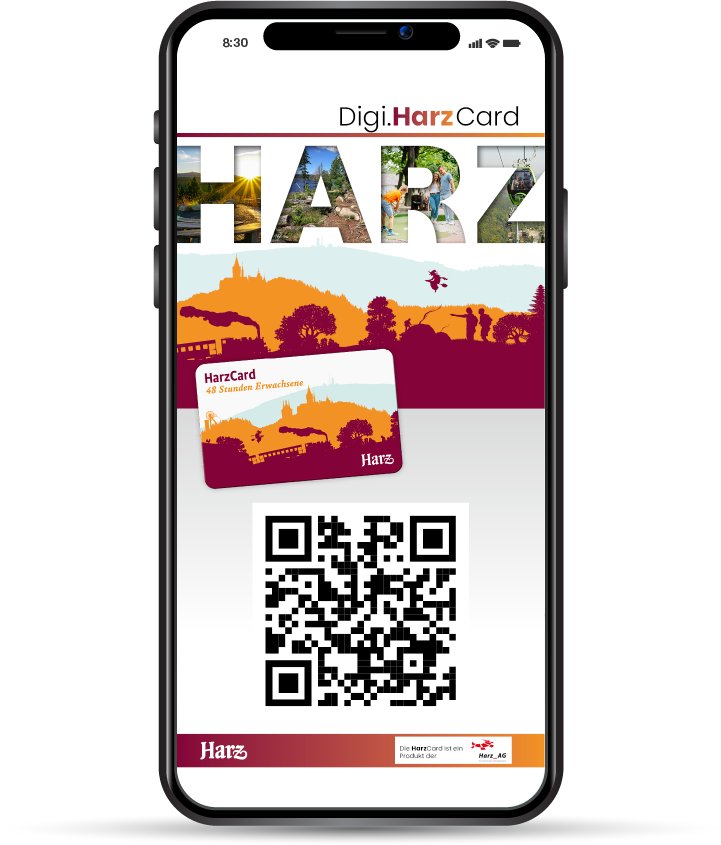 Digi.HarzCard 48h (Erwachsene)